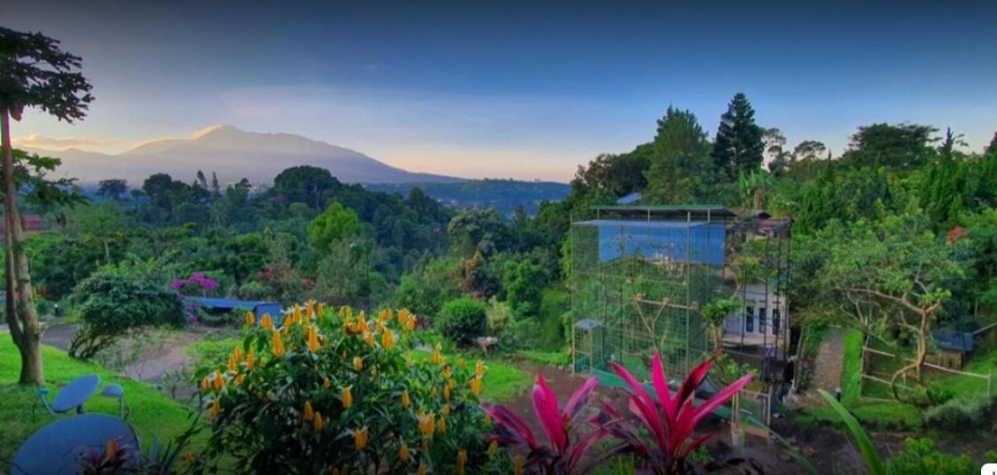 Villa Chacha At Macarena, Megamendung Buitenkant foto