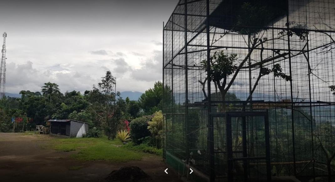 Villa Chacha At Macarena, Megamendung Buitenkant foto