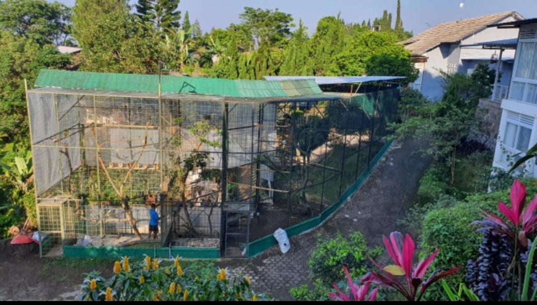 Villa Chacha At Macarena, Megamendung Buitenkant foto